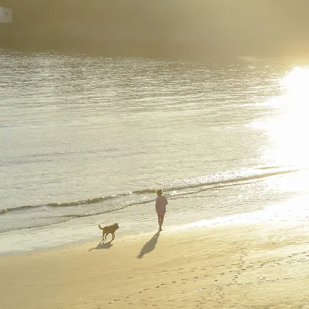 Cerise - Le Grand De La 3* Руайян