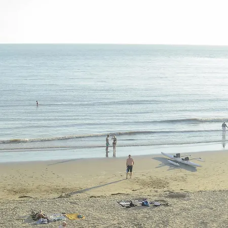 Cerise - Le Grand De La 鲁瓦扬