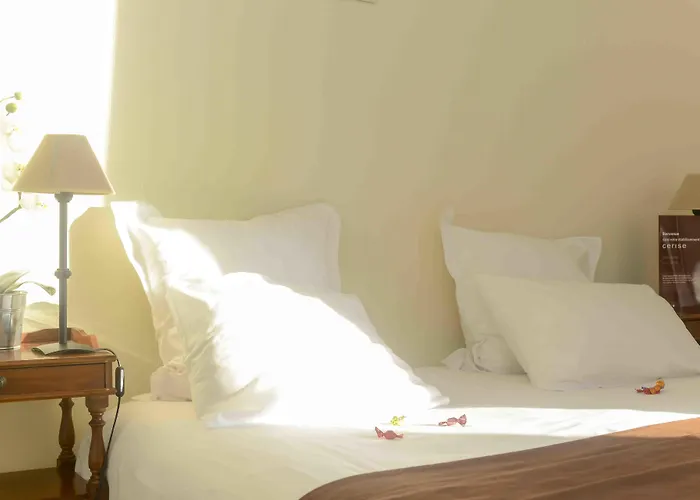 Cerise - Le Grand De La Hotel