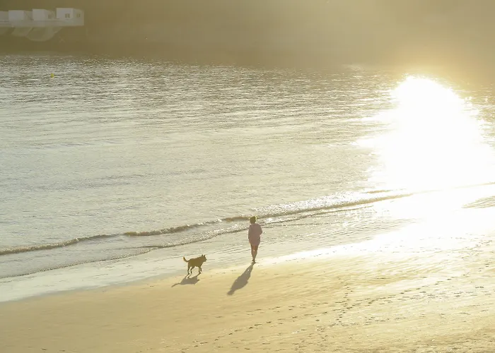 Cerise - Le Grand De La 3* Royan