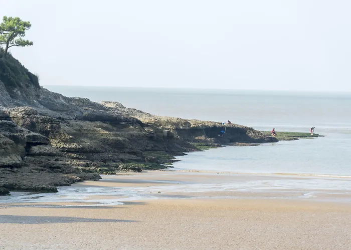 Cerise - Le Grand De La 3* ロワイヤン