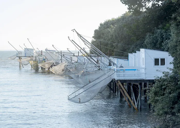 Cerise - Le Grand De La 3* ロワイヤン